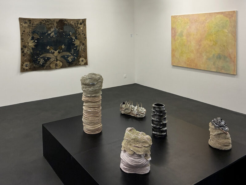 Ausstellungsansicht "Cantonale Berne Jura 25/26", Kunsthaus Interlaken, 2025. Foto: Heinz Häsler
