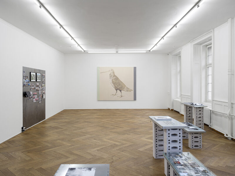 Vue de l'exposition "Cantonale Berne Jura 2023/2024" avec des œuvres de Samira Gollin, Kotscha Reist et Jürg Stauffer, Kunsthaus Langenthal, 2023. Photo : Cedric Mussano