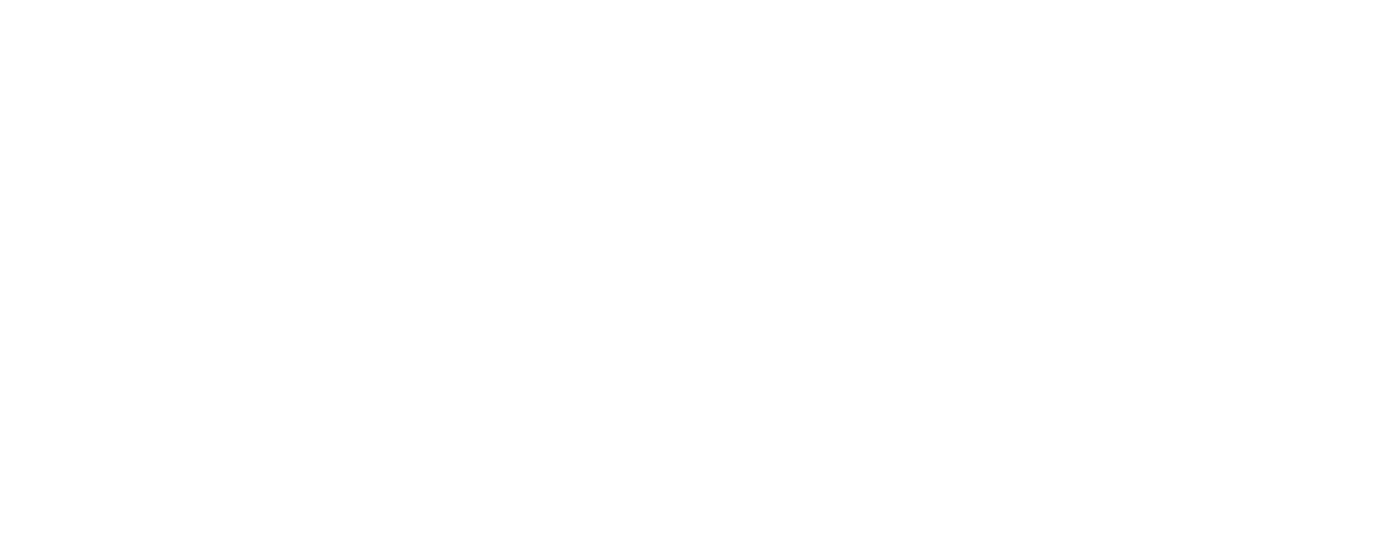 Sponsor Cantonale, Ursula Wirz Stiftung Logo RGB negativ